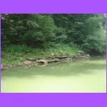 Shore 2.jpg